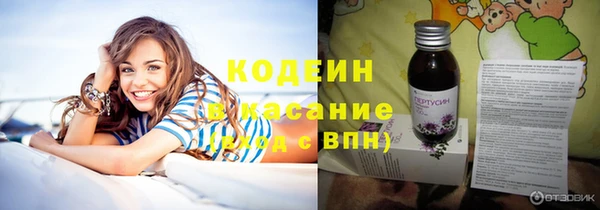 шишки Кодинск