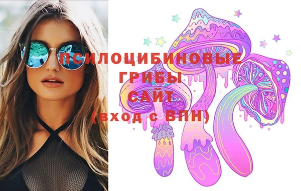 шишки Кодинск