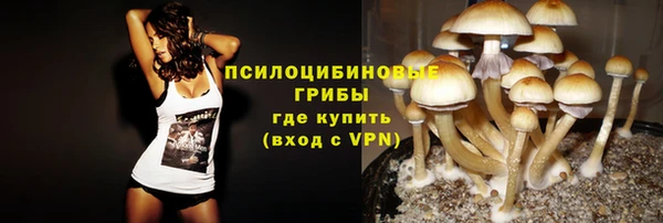 apvp Козельск