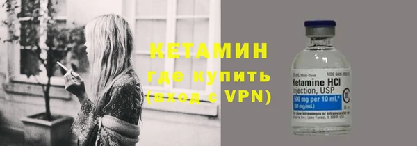 шишки Кодинск