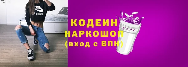 шишки Кодинск