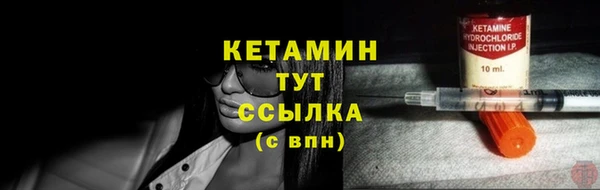 шишки Кодинск