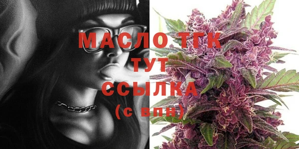 шишки Кодинск