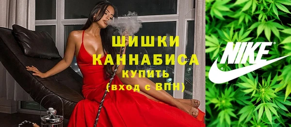 спайс Корсаков