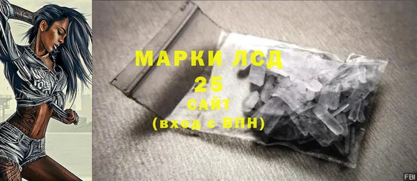 шишки Кодинск
