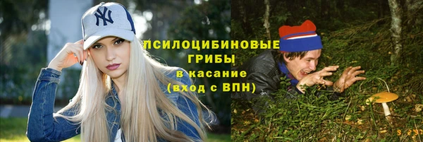 apvp Козельск