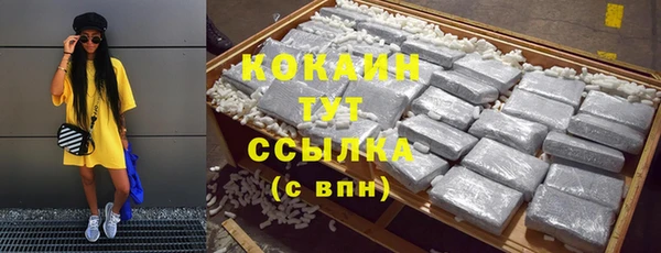 apvp Козельск