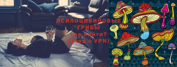 apvp Козельск