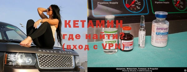 шишки Кодинск