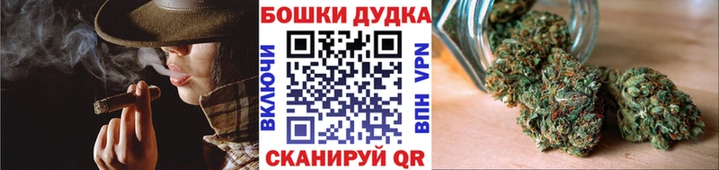Купить закладки  Борисоглебск  МАРИХУАНА SATIVA & INDICA 